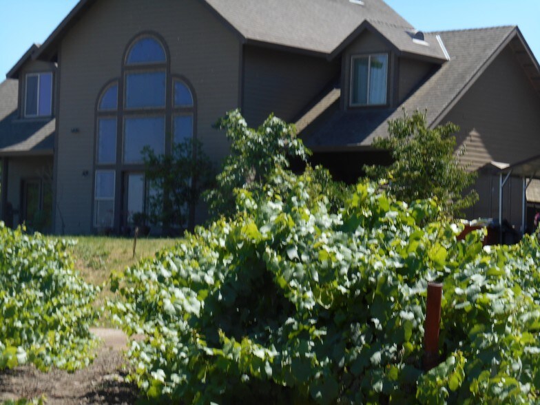 30003 N Vail Rd, Lodi, CA for sale - Primary Photo - Image 1 of 1