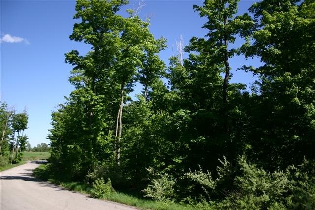 8245 E Boca Vista Trl, Traverse City, MI for sale Other- Image 1 of 1