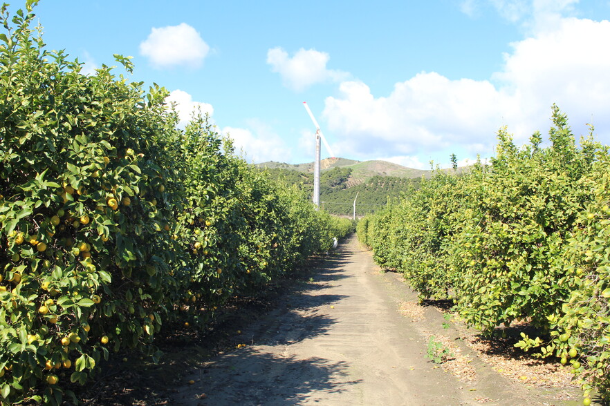 13922 Foothill Rd, Santa Paula, CA for sale - Other - Image 3 of 9