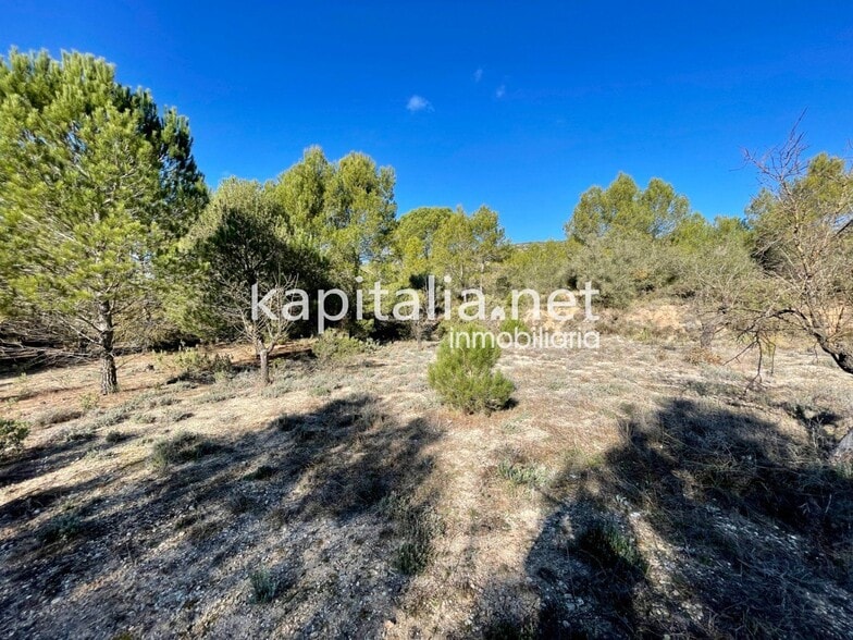 Land in Bocairent for sale - Building Photo - Image 3 of 5