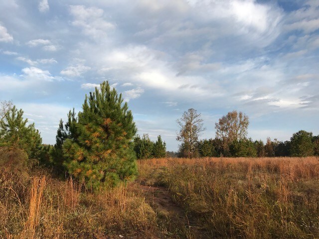 Oconee Rd, Buckhead, GA for sale Other- Image 1 of 1