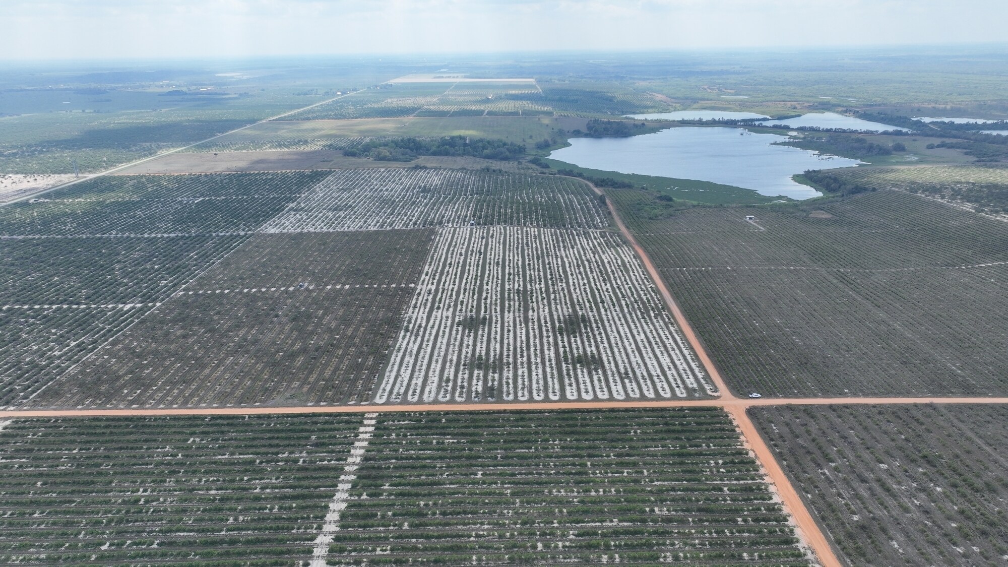 Albritton Road, Bartow, FL 33830 Sand Lake Grove