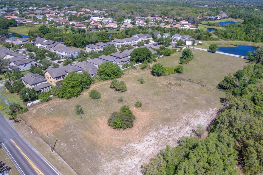 17438 Dorman Rd, Lithia, FL 33547