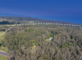 More details for 46-306 Mamalahoa hwy, Honokaa, HI - Land for Sale