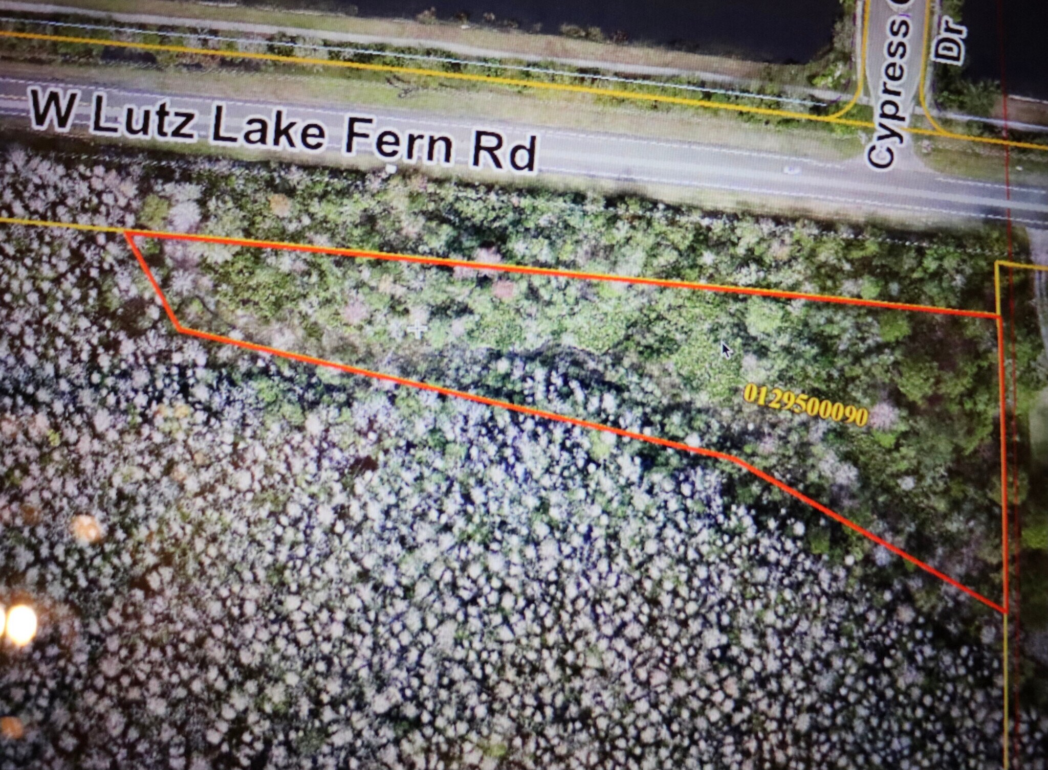 Lutz Lake Fern, Lutz, FL 33558