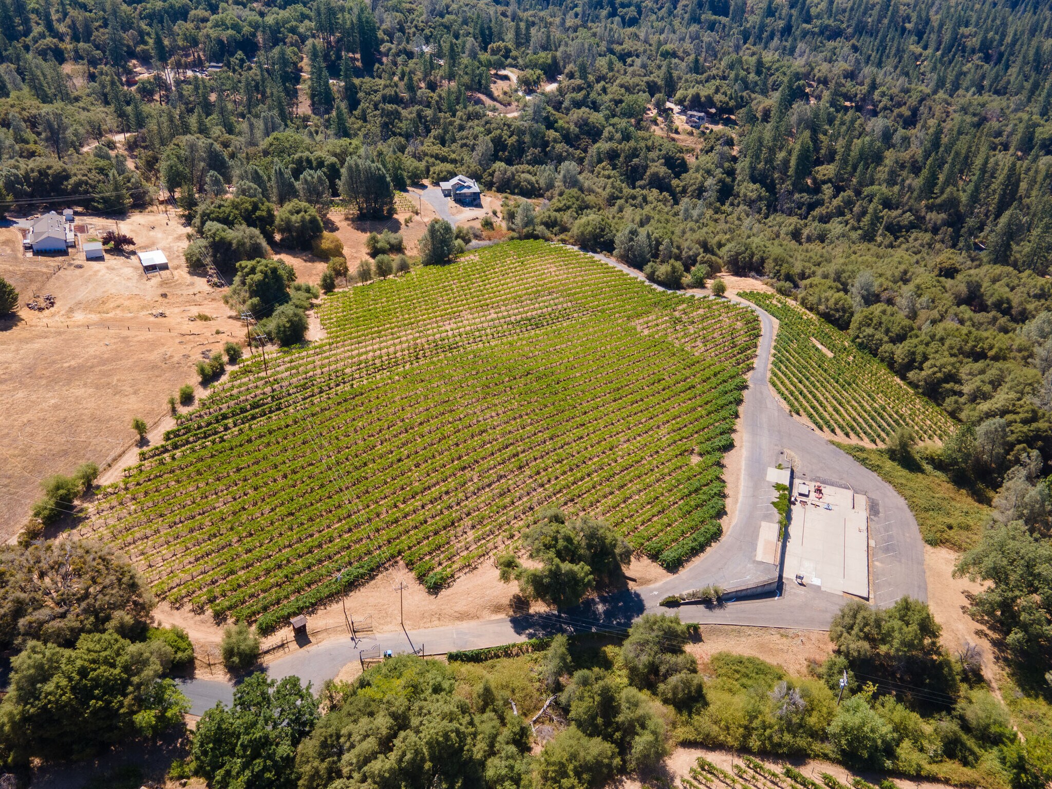 6460 Slug Gulch Rd, Somerset, CA for sale Primary Photo- Image 1 of 1