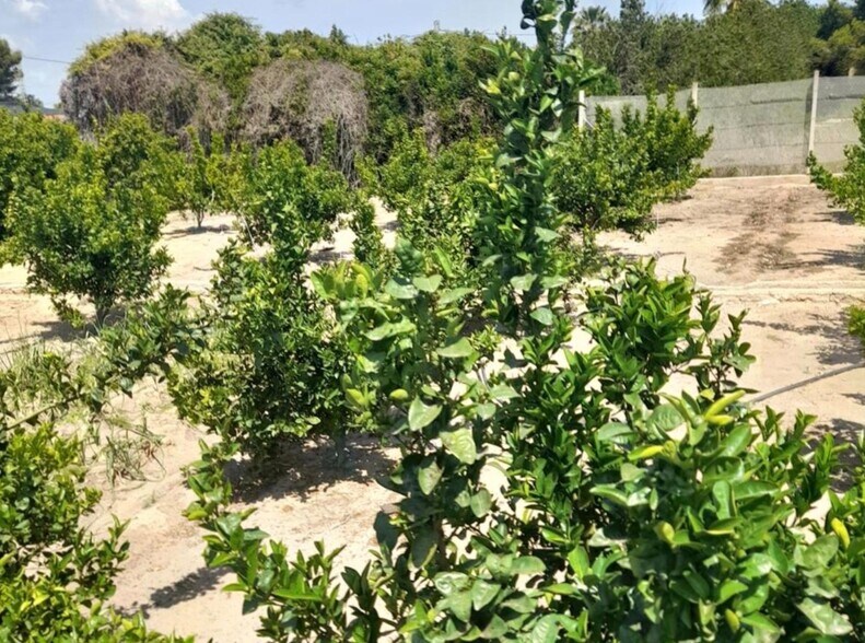 Land in València for sale - Building Photo - Image 3 of 8