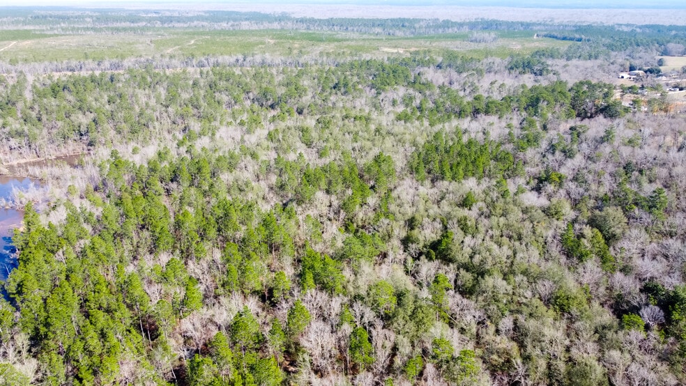 800 McKenzie Rd, Cantonment, FL for sale - Building Photo - Image 2 of 22