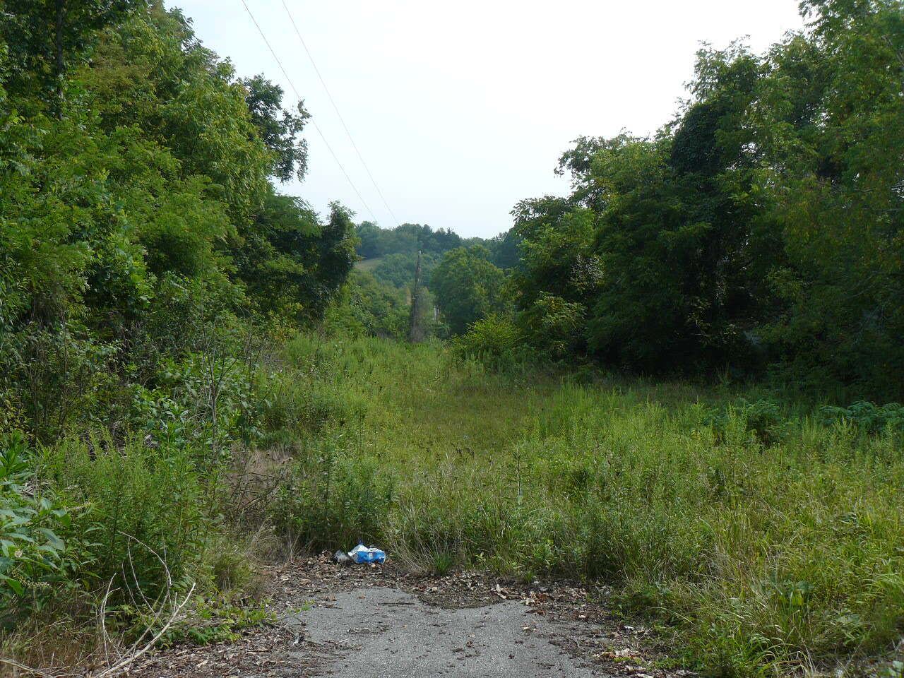 2.38 Acres US Hwy. 25E Hwy, Tazewell, TN for sale Other- Image 1 of 4