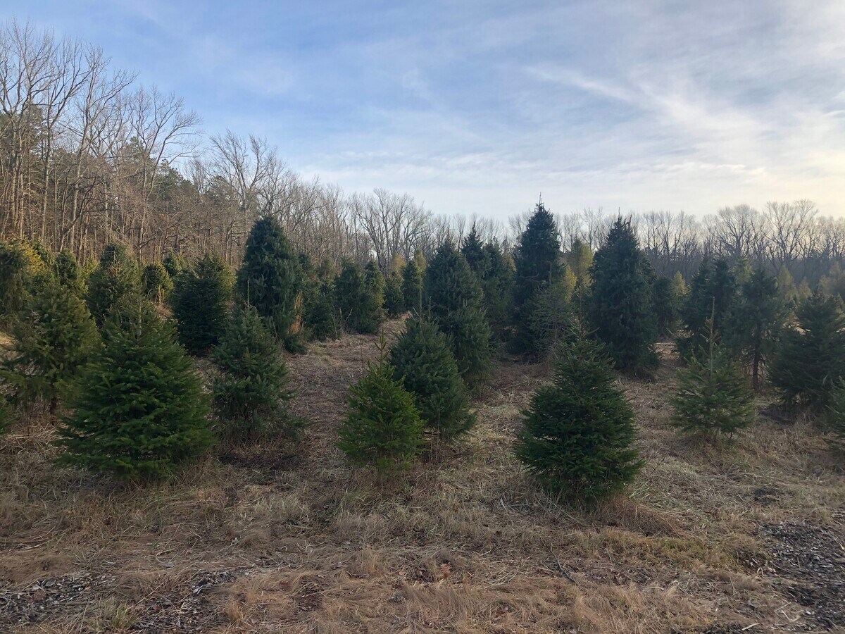 141 Brynmore Rd, New Egypt, NJ 08533