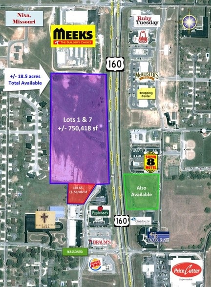 Highway 160 & Wasson Rd, Nixa, MO for sale - Primary Photo - Image 1 of 1