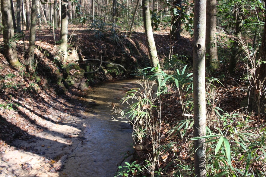 4433 Pat Thomas Pky, Quincy, FL for sale - Building Photo - Image 2 of 42