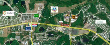 14241 STATE ROAD 54, Odessa, FL - aerial  map view