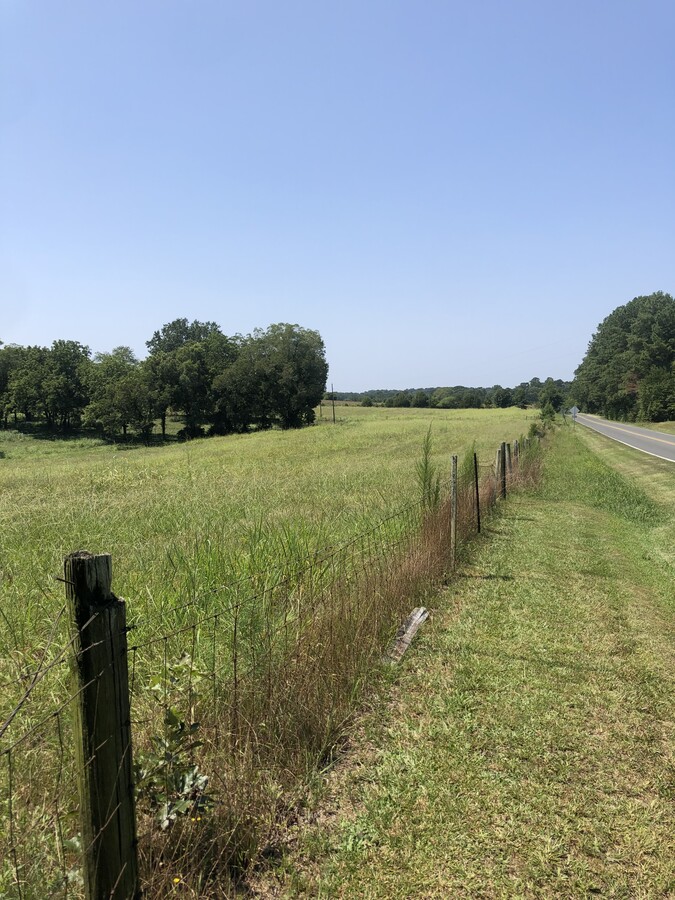 View Photo
