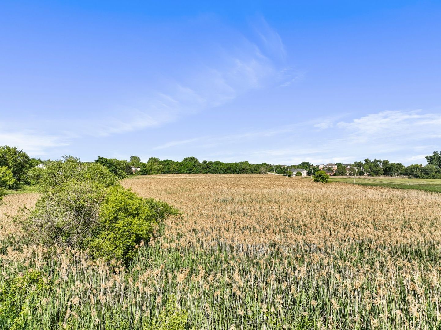11501 143rd st, Orland Park, IL for sale Building Photo- Image 1 of 19