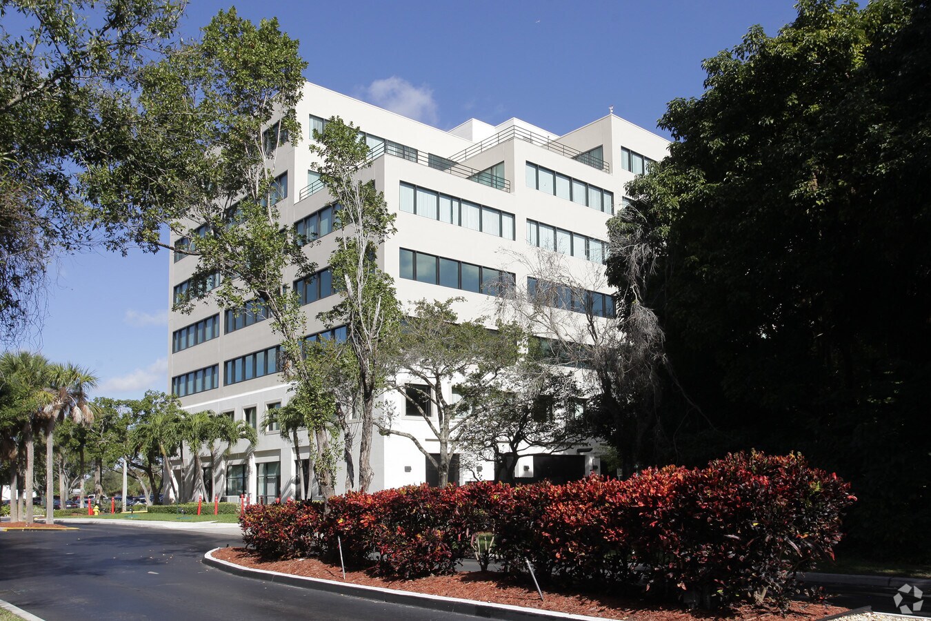 View Photo