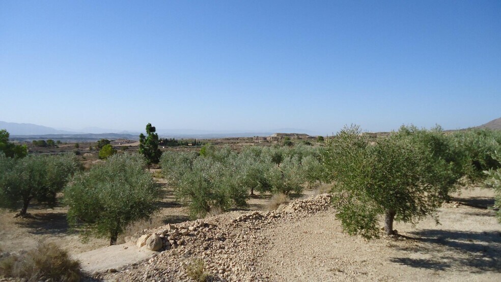 Land in Abanilla for sale - Building Photo - Image 3 of 18