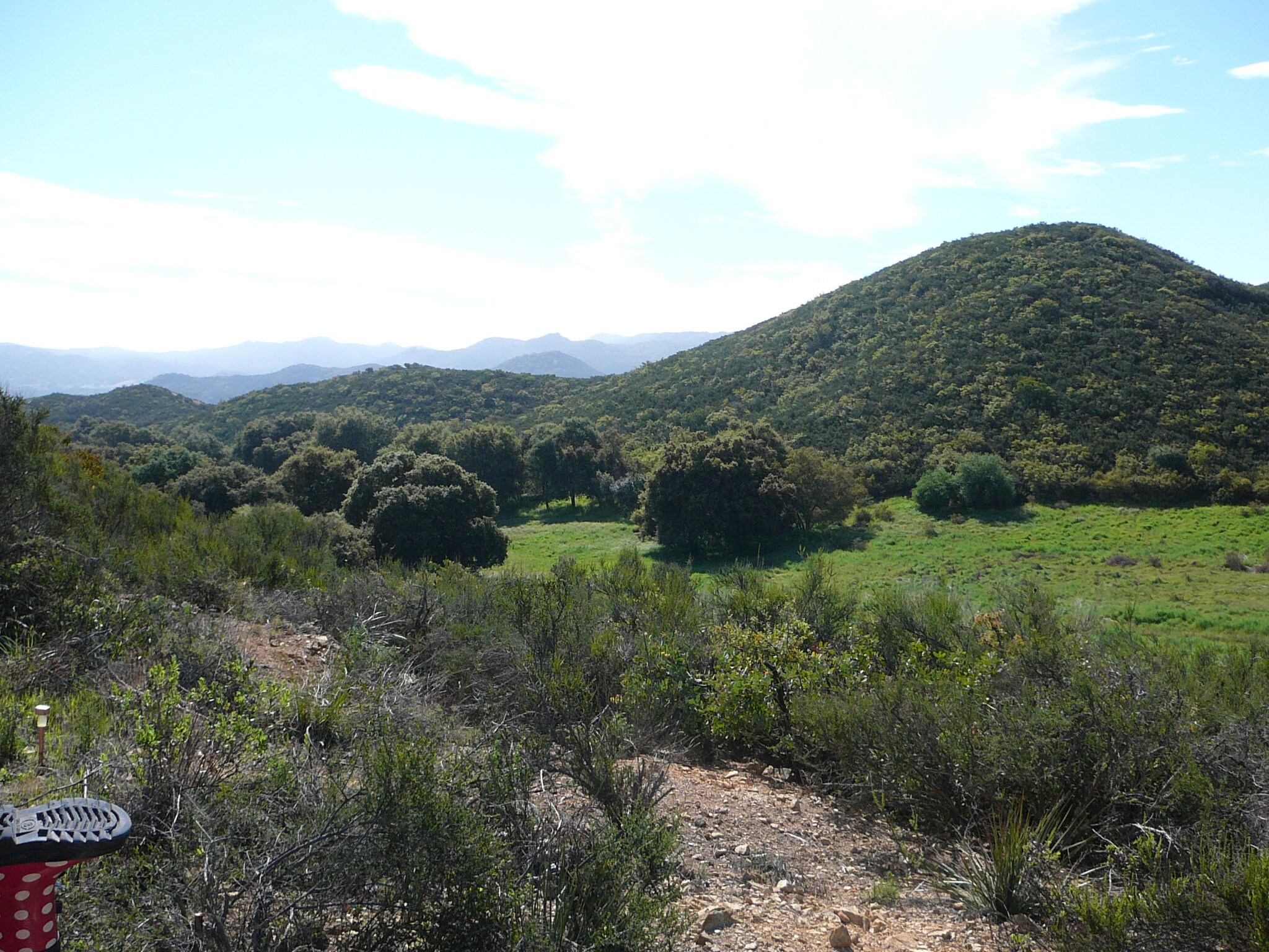 0 Tenaja Rd, Fallbrook, CA for sale Other- Image 1 of 1