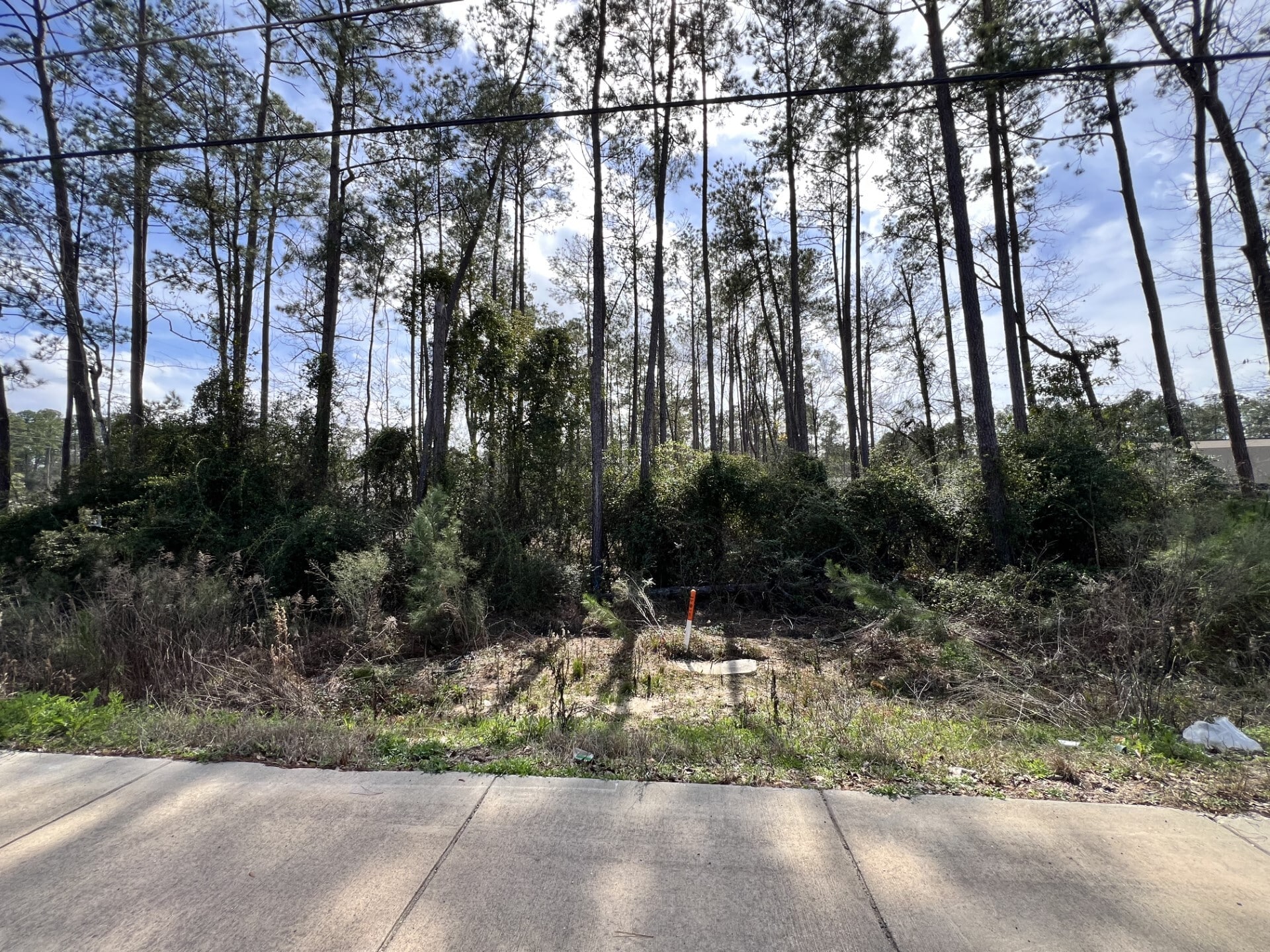 71212 Highway 21, Covington, LA for lease Primary Photo- Image 1 of 4