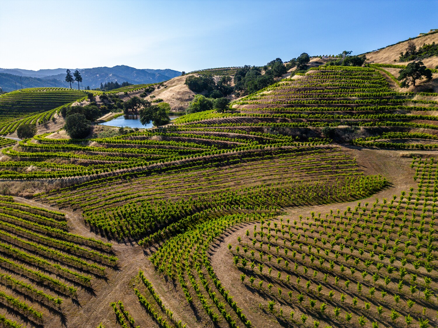 5700 Old River Rd, Ukiah, CA 95482 Land for Sale