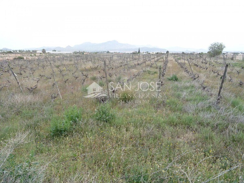 Land in Novelda for sale - Building Photo - Image 2 of 8