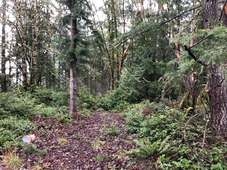 5XXX Werner, Bremerton, WA for sale - Other - Image 2 of 4