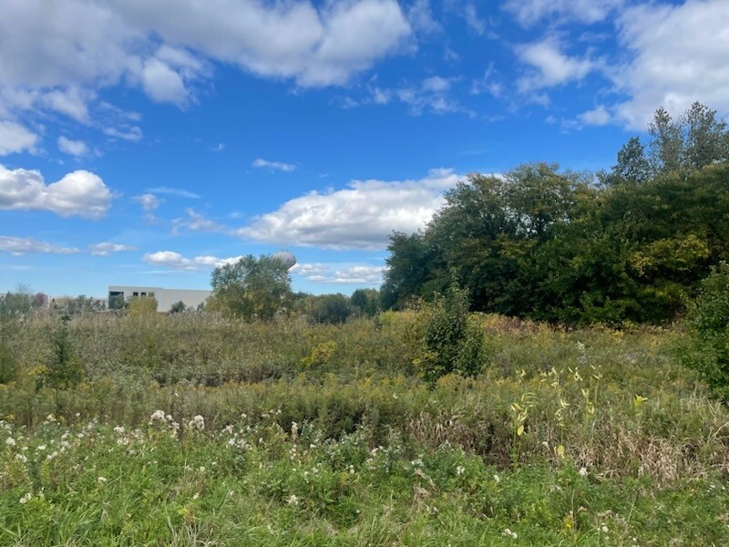 37W510 Big Timber, Elgin, IL 60124 Land for Sale