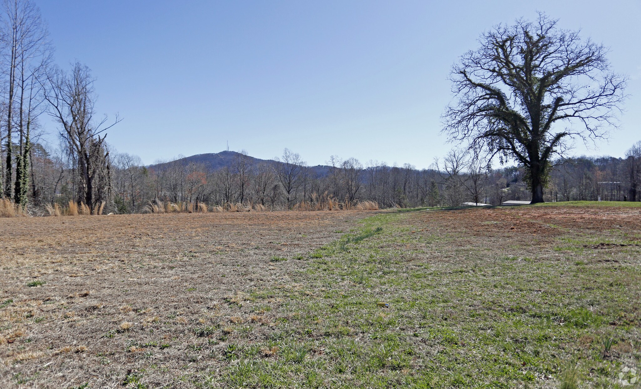 2000 Sugar Hill Rd, Marion, NC for sale Primary Photo- Image 1 of 1
