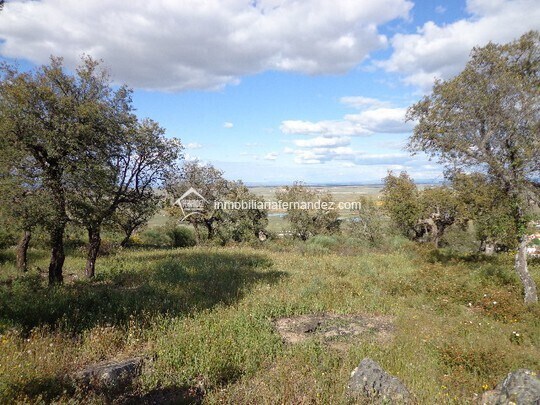 Land in Sierra de Fuentes for sale - Building Photo - Image 3 of 8