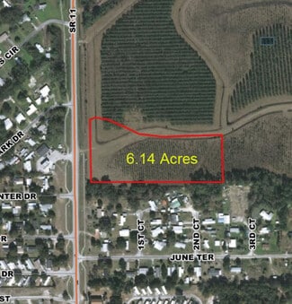 More details for 1 SR11, Deland, FL - Land for Sale