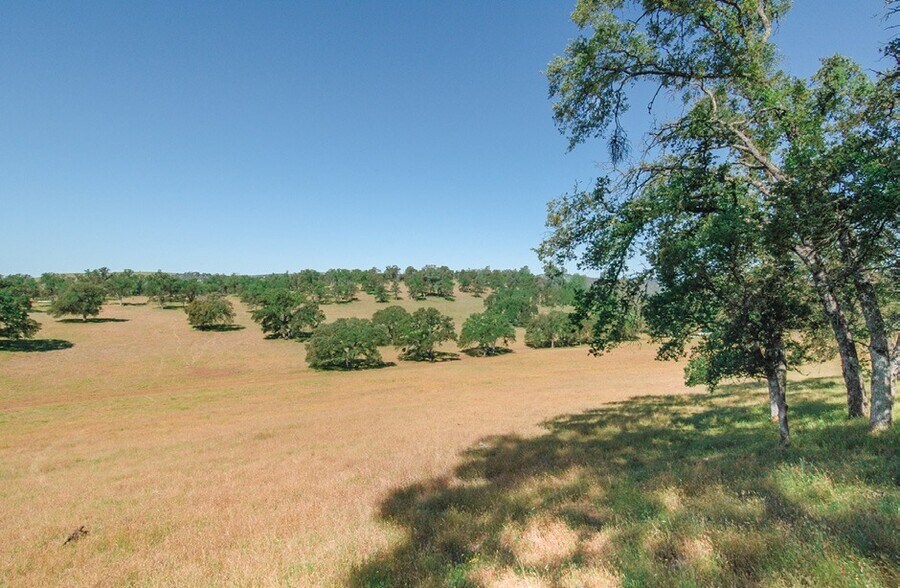 O Byrnes Ferry Rd, Copperopolis, CA 95228 Land For Sale