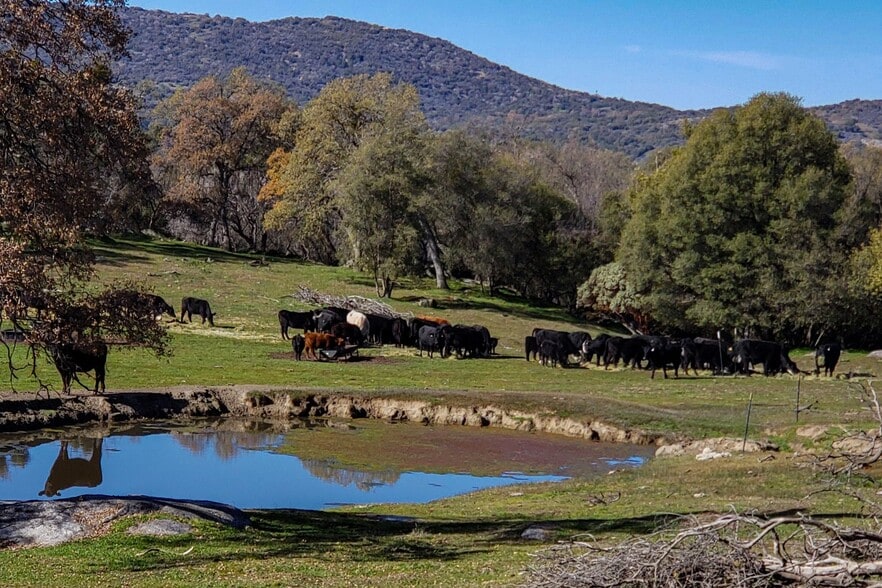 Dry Creek Drive, Badger, CA for sale - Building Photo - Image 3 of 23