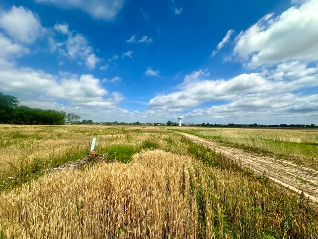 View Photo