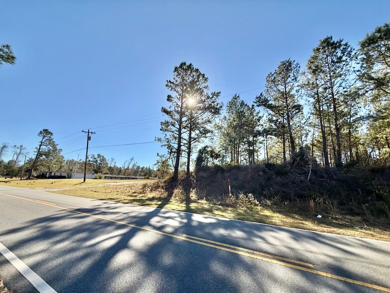 1028 Sand Pit Rd, Lumber City, GA for sale - Building Photo - Image 3 of 5