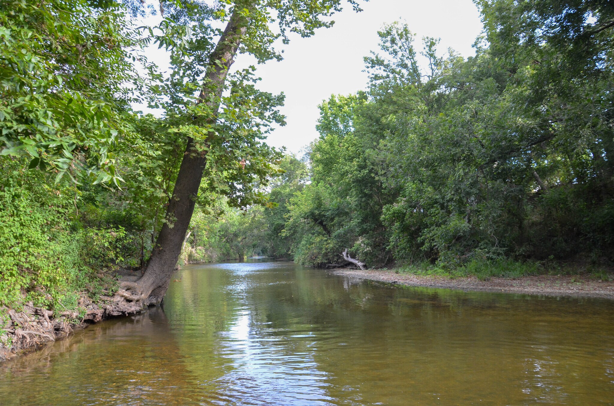 1850 County Road 129, Taylor, TX for sale Primary Photo- Image 1 of 1