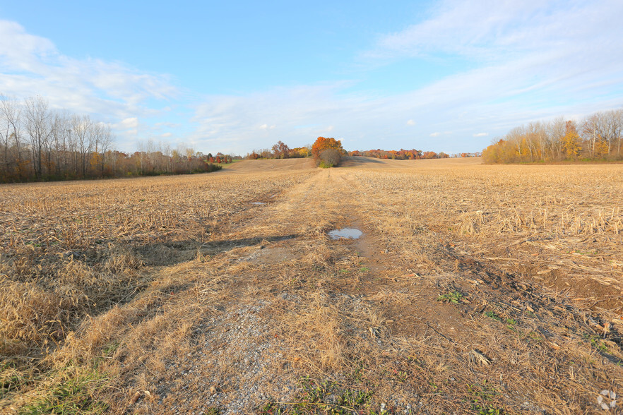 4351 Culp Ln, Bethalto, IL for sale - Primary Photo - Image 1 of 1