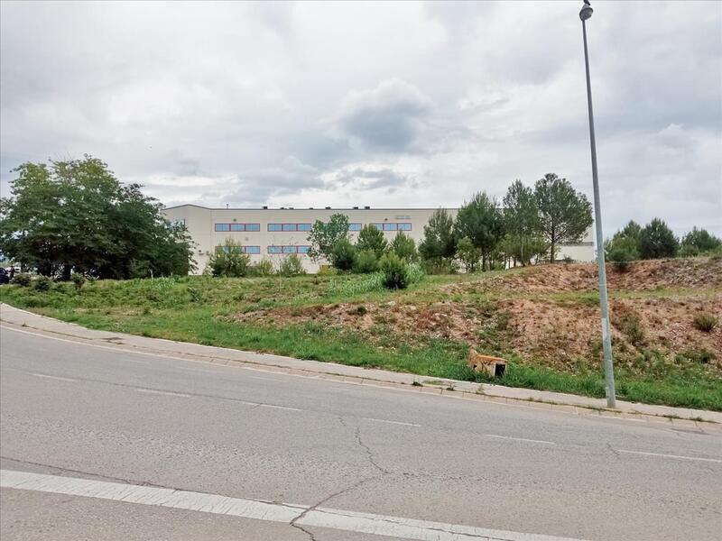 Plaça la Llana, 1, Rubí, Barcelona for sale Floor Plan- Image 1 of 4