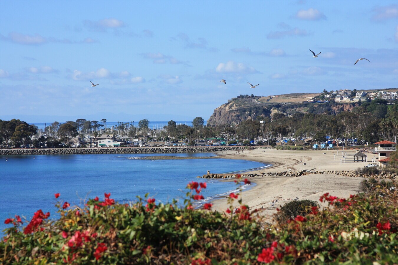 34210 Street Of The Violet Lantern, Dana Point, CA 92629