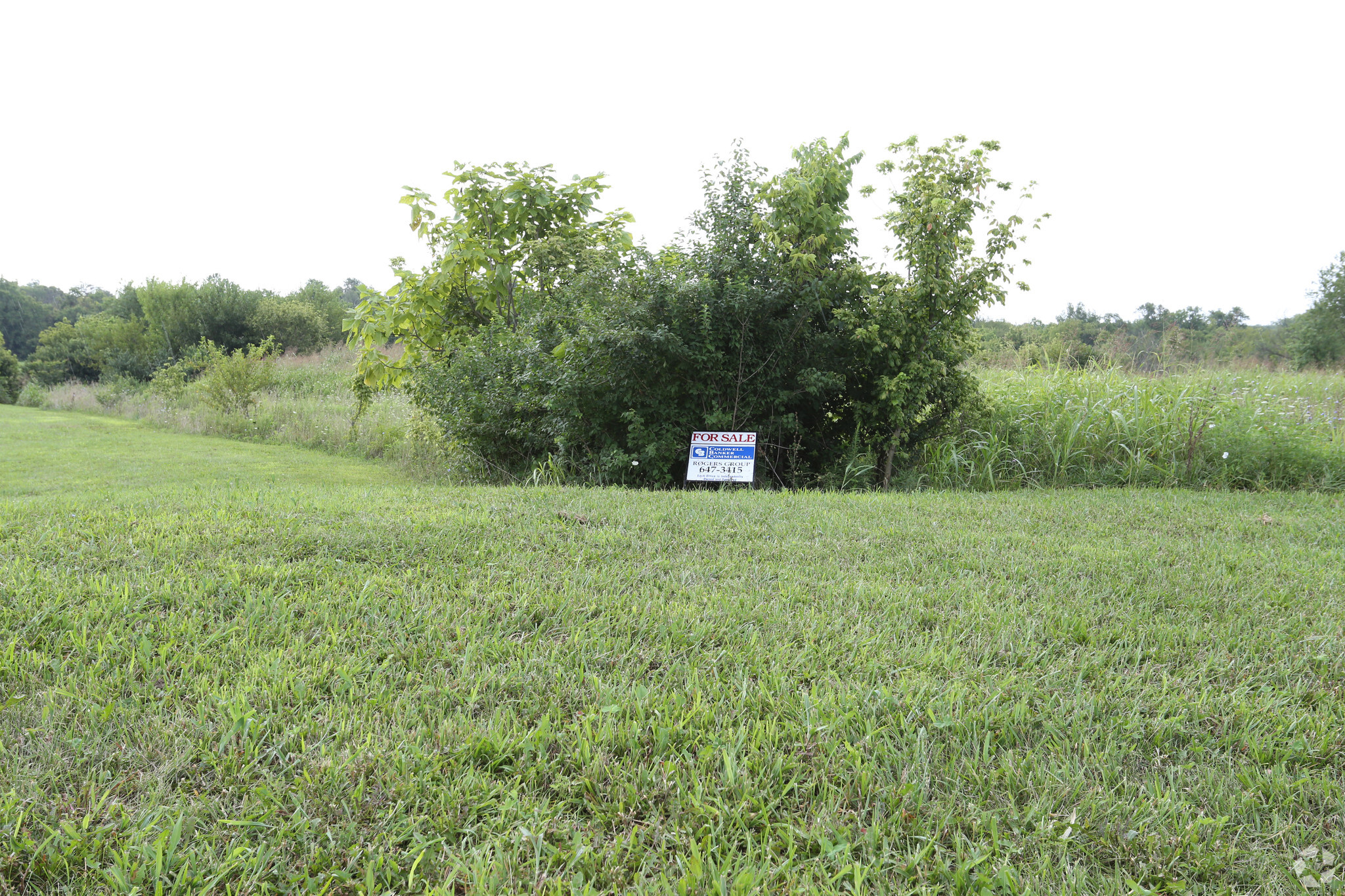 Stonecrest Rd, Shelbyville, KY for sale Primary Photo- Image 1 of 2