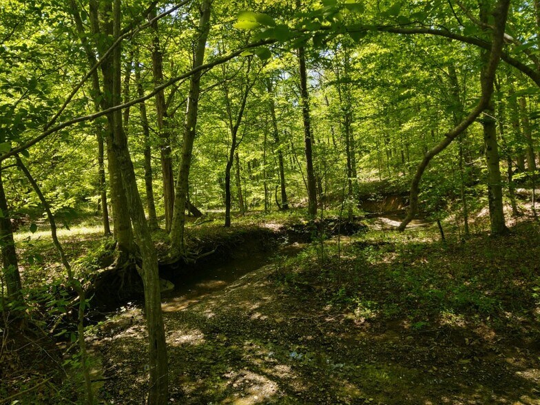 0 Lock 5 Rd, Roundhill, KY for sale - Primary Photo - Image 1 of 1