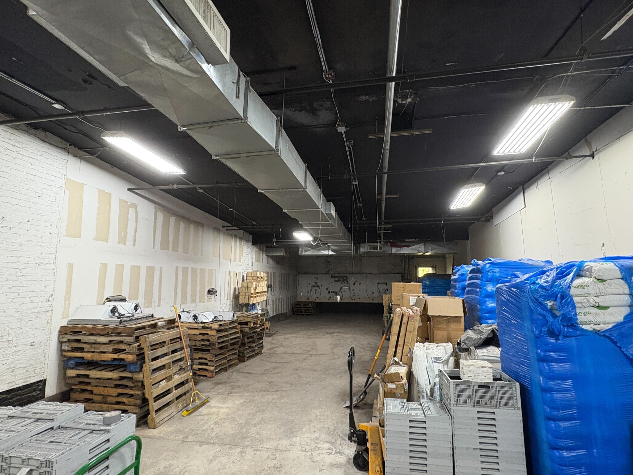 284 Junius St, Brooklyn, NY for lease Building Photo- Image 1 of 6