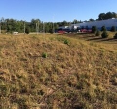 10 Buchanan Bypass, Buchanan, GA for sale - Primary Photo - Image 1 of 1