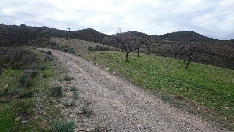 Land in Cantoria for sale - Building Photo - Image 3 of 3