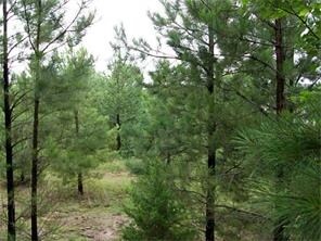 Squires St, Alma, AR for sale - Primary Photo - Image 1 of 1