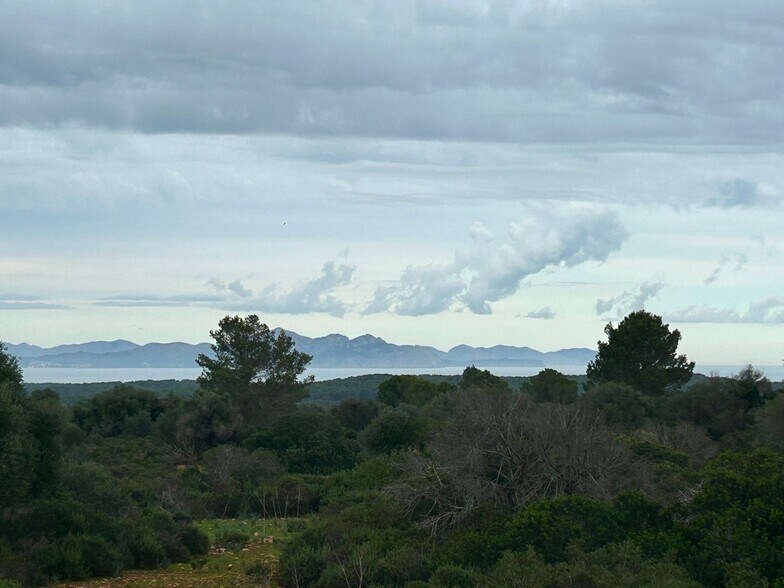 Land in Petra for sale - Aerial - Image 2 of 27