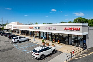 More details for 103-129 Jackson Ave, Syosset, NY - Retail for Lease