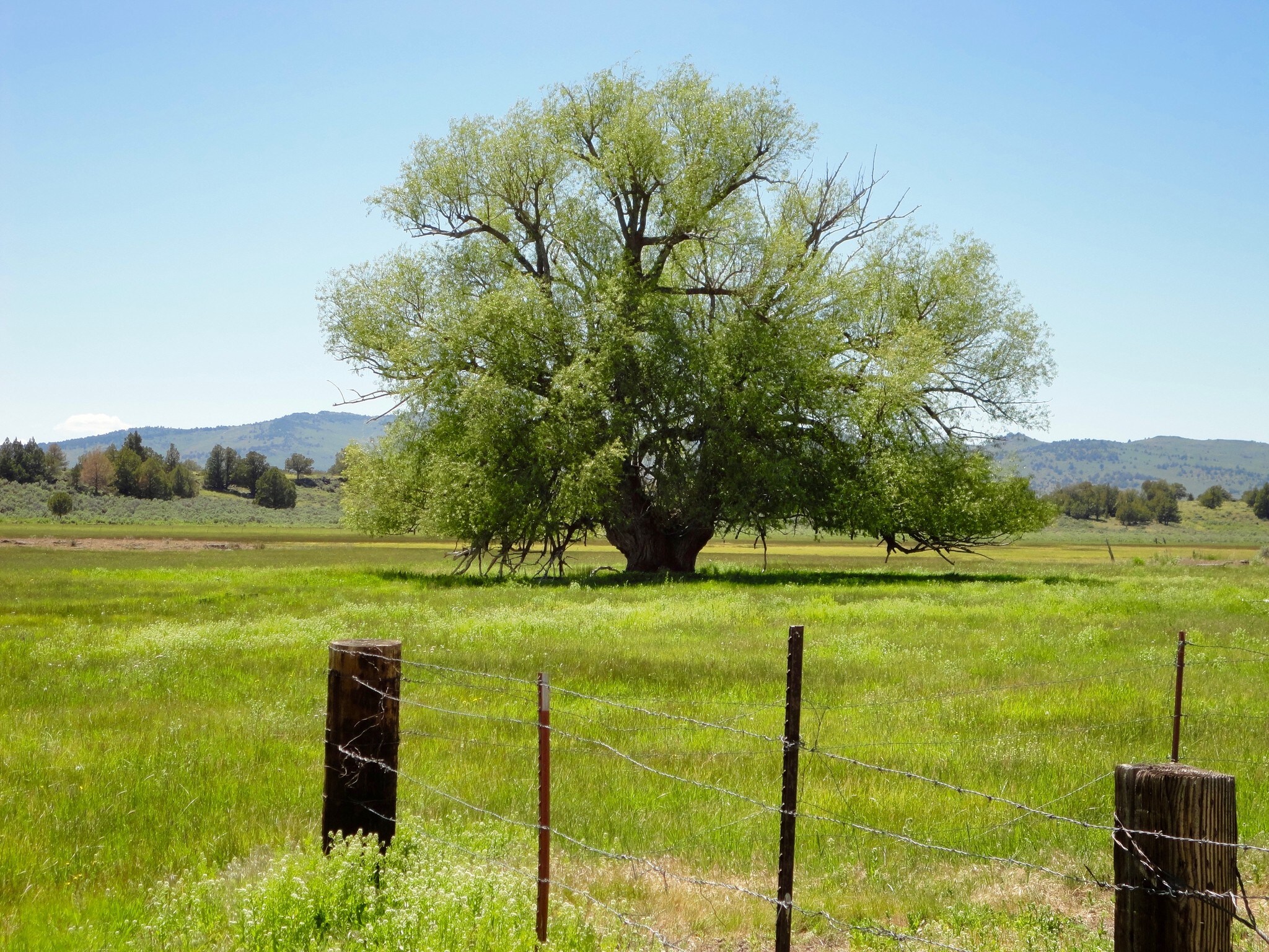 Highway 395, Ravendale, CA for sale Other- Image 1 of 1