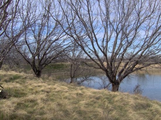 County Road 123, Cisco, TX for sale - Building Photo - Image 1 of 1