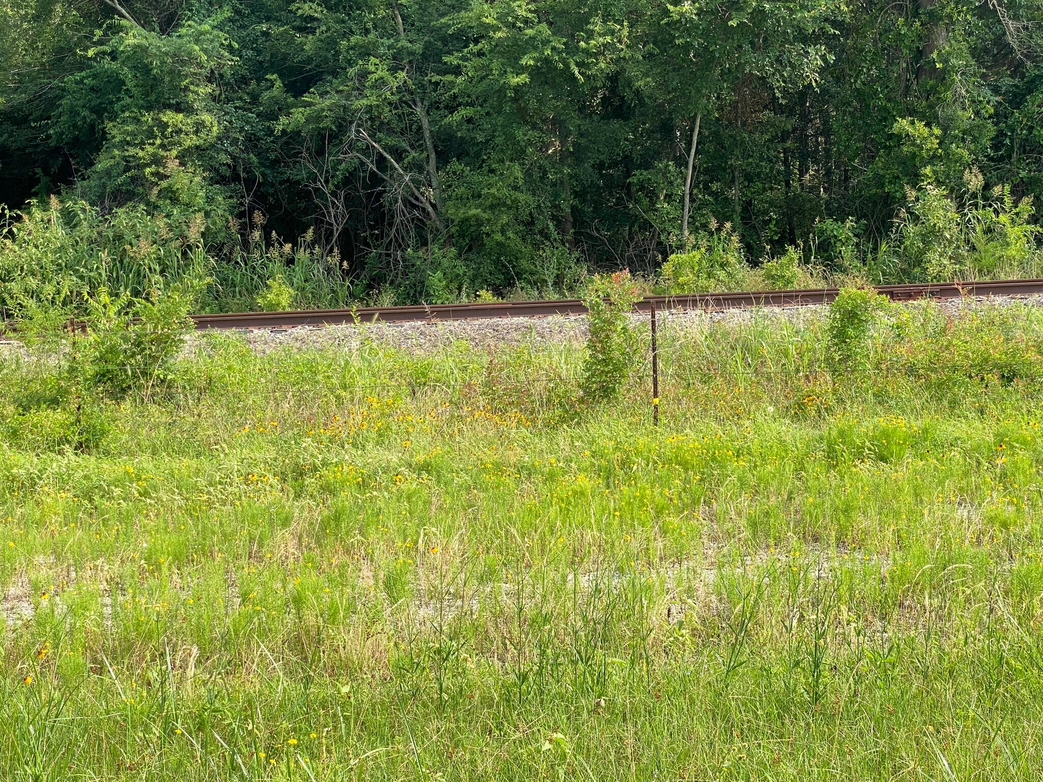 8481 US Highway 67, Winfield, TX for sale Building Photo- Image 1 of 1