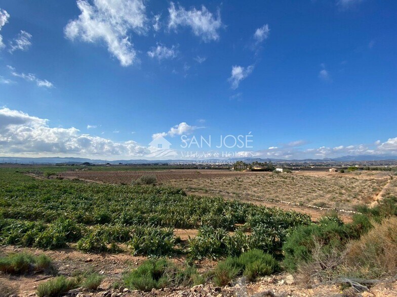 Land in Novelda for sale - Building Photo - Image 3 of 7